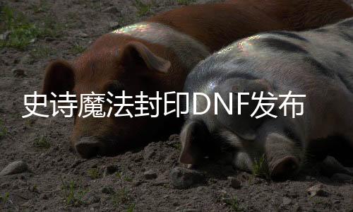 史诗魔法封印DNF发布网（DNF发布网魔法封印）