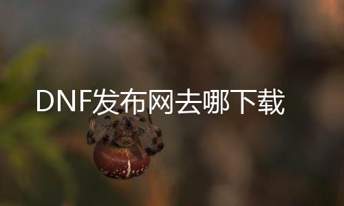 DNF发布网去哪下载