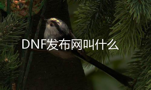 DNF发布网叫什么