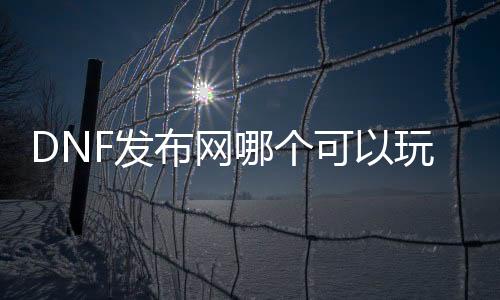 DNF发布网哪个可以玩