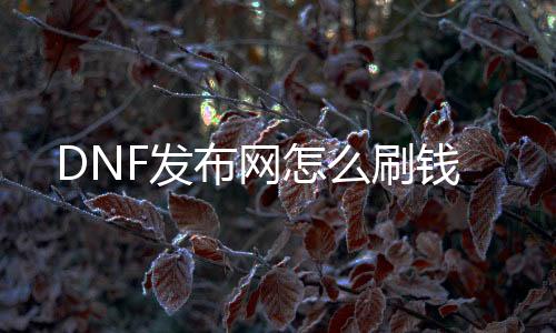 DNF发布网怎么刷钱