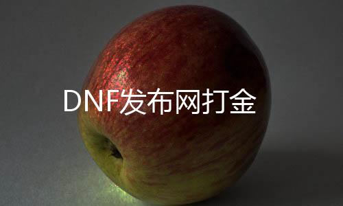 DNF发布网打金