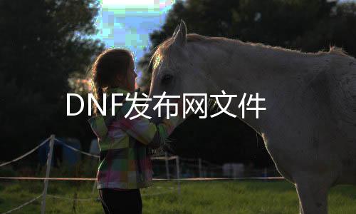 DNF发布网文件