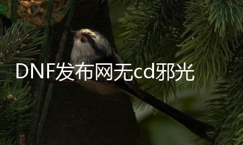 DNF发布网无cd邪光斩（dnf邪光斩最大化）