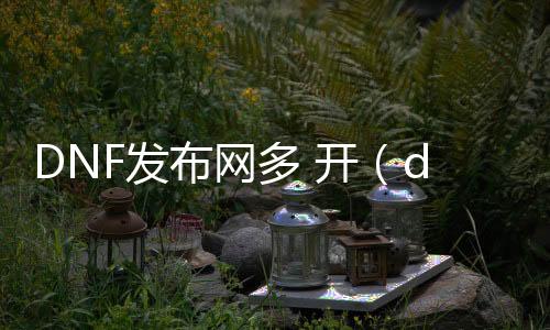 DNF发布网多 开（dnf账号多开）