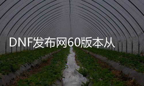 DNF发布网60版本从哪能下载（60级DNF发布网下载）