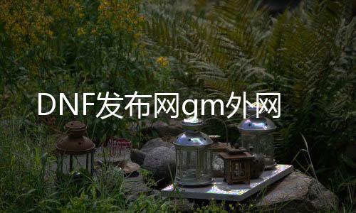 DNF发布网gm外网