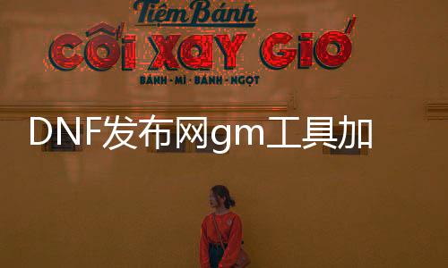 DNF发布网gm工具加经验（DNF发布网70版本gm工具）