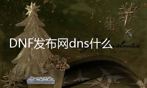 DNF发布网dns什么设置（DNF发布网的dns多少）