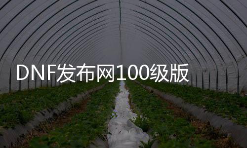 DNF发布网100级版本群（DNF发布网交流群）