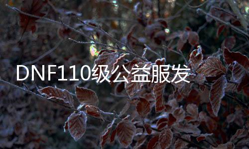 DNF110级公益服发布网是什么意思, DNF110级公益服发布网玩法介绍