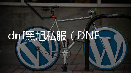 dnf黑旭私服（DNF发布网黑旭）