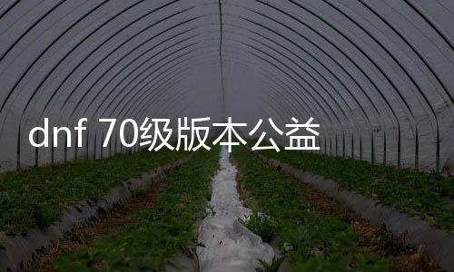 dnf 70级版本公益服发布网（全面解析DNF 70级版本公益服发布网的特点与玩法）