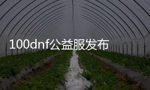 100dnf公益服发布网平台（dnf公益服发布网100级版本）